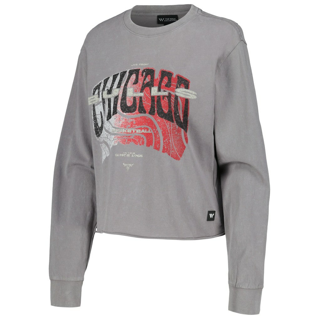 Chicago Bulls The Wild Collective Women's Band Cropped Long Sleeve T-Shirt Gray - NBA