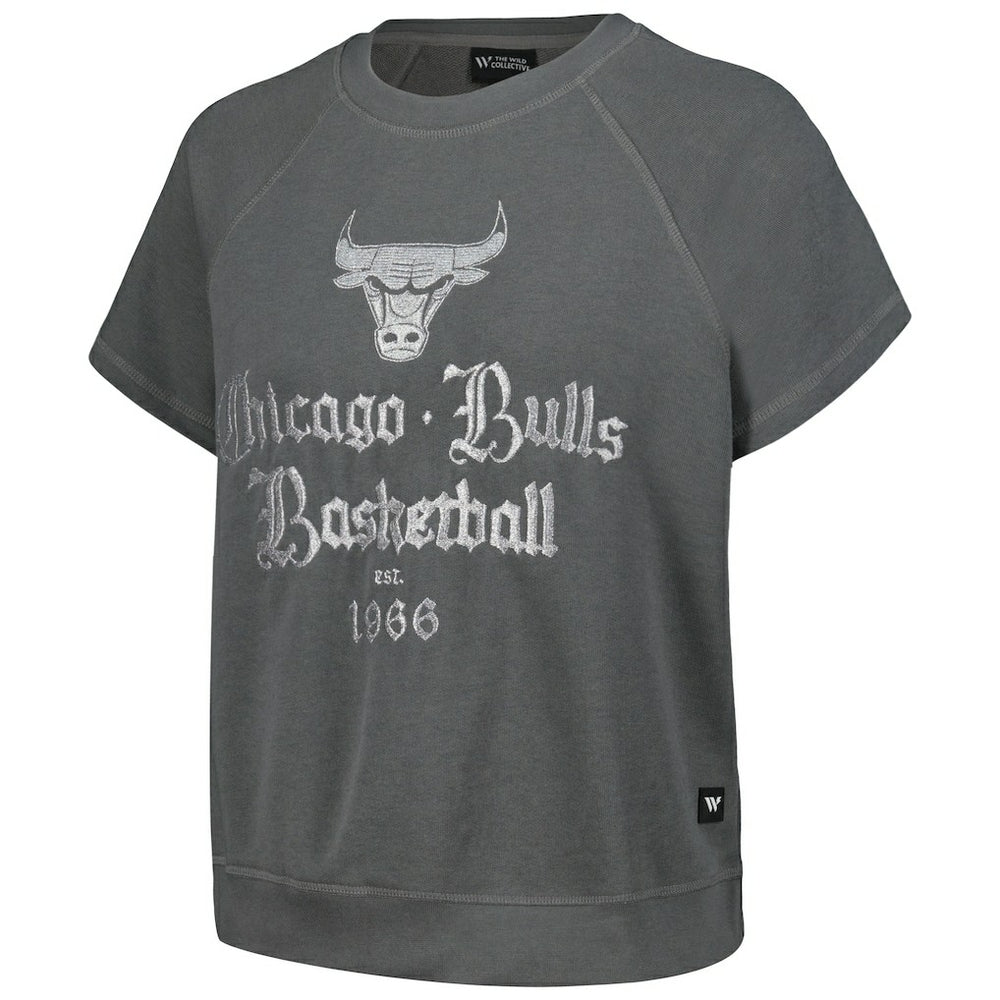 Chicago Bulls The Wild Collective Women's Embroidered Fleece Raglan Short Sleeve Pullover Sweatshirt Gray - NBA