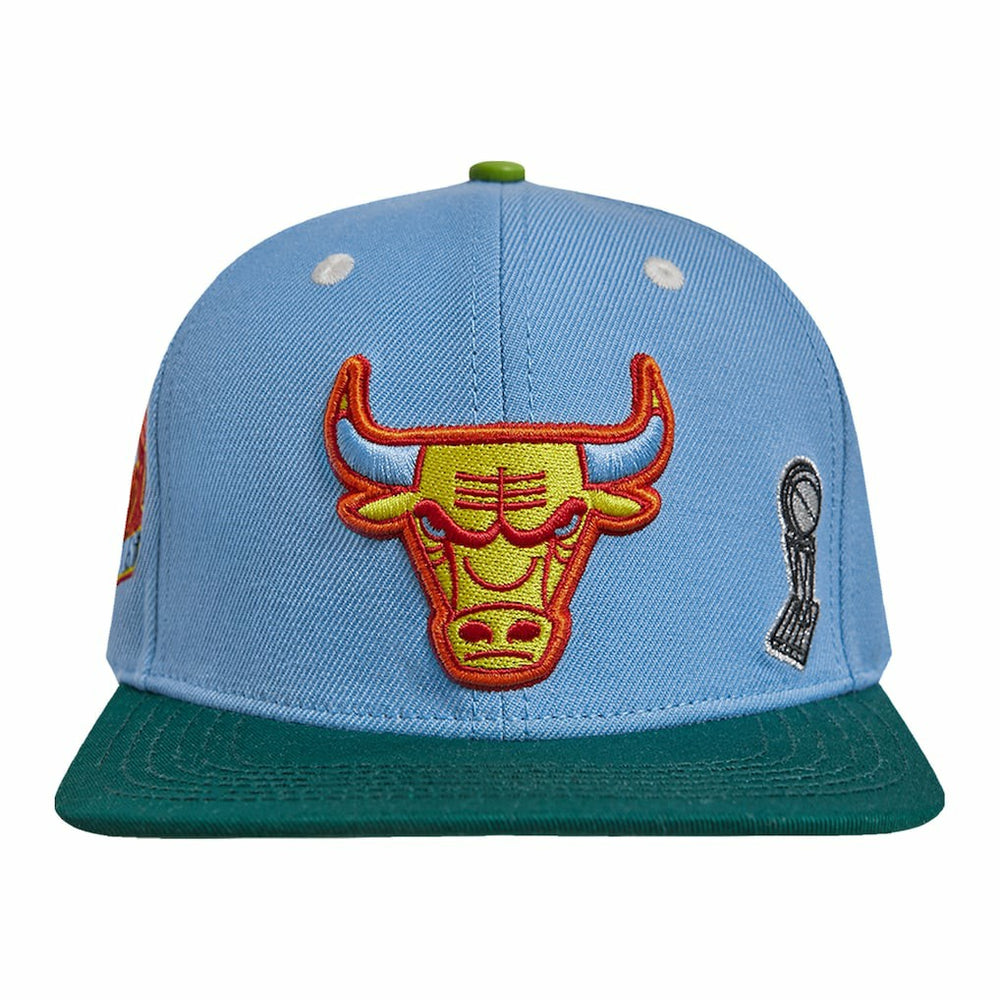 Chicago Bulls Pro Standard Retro Program 2-Tone Snapback Hat Light Blue/Green - NBA