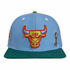 Chicago Bulls Pro Standard Retro Program 2-Tone Snapback Hat Light Blue/Green - NBA