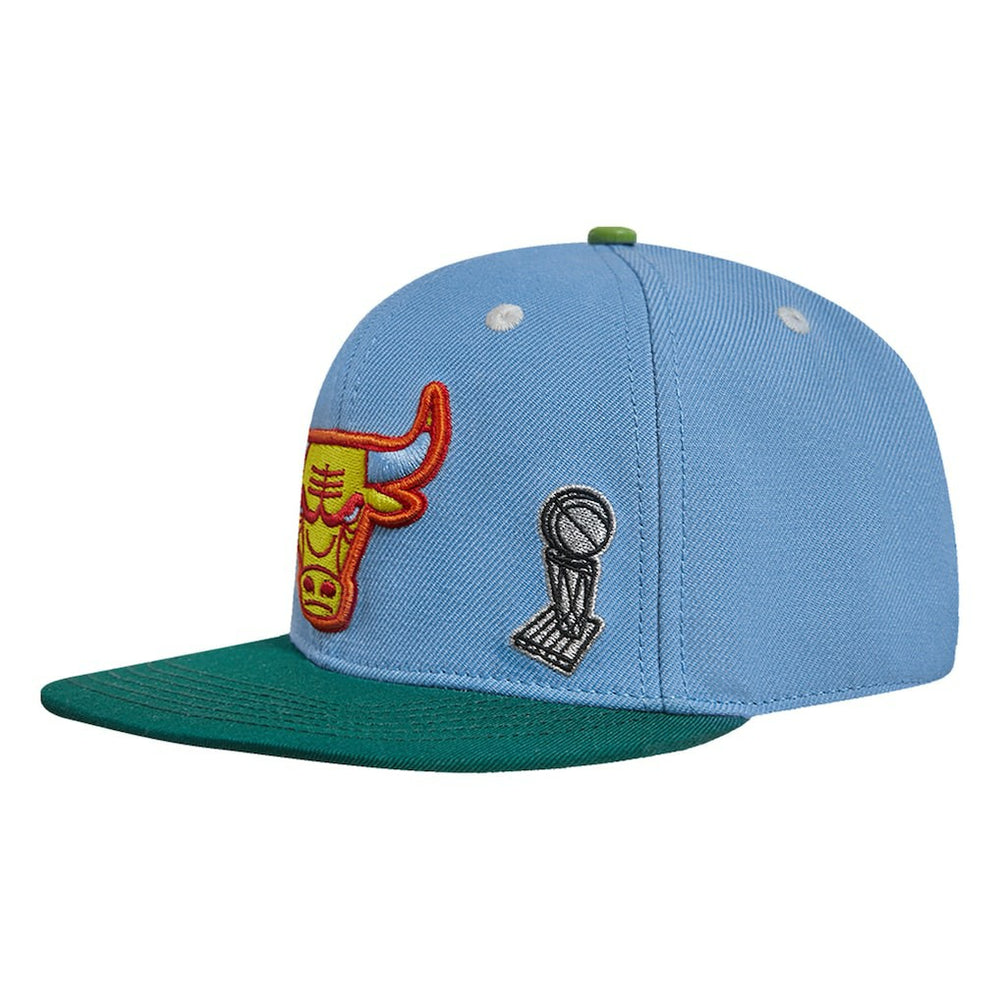 Chicago Bulls Pro Standard Retro Program 2-Tone Snapback Hat Light Blue/Green - NBA