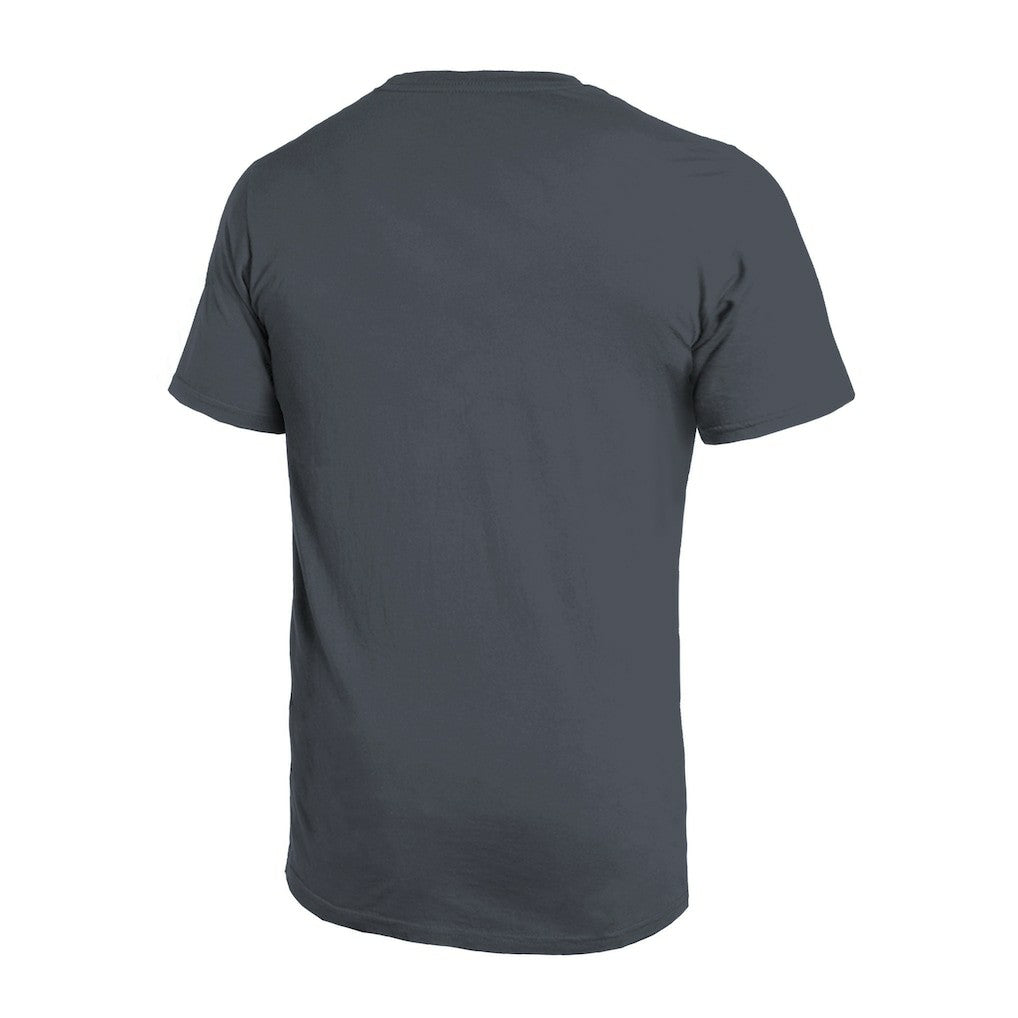 Atlanta Falcons Majestic Threads Sundays Skyline T-Shirt Gray | NFL