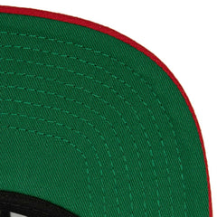 Florida Panthers Mitchell & Ness Core Team Ground 2.0 Snapback Hat - Navy - NHL