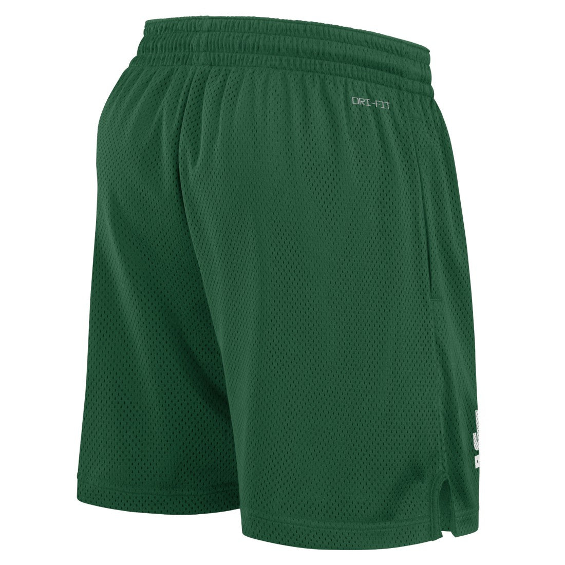 New York Jets 2024 Sideline Performance Mesh Shorts Green | Nike for Sale