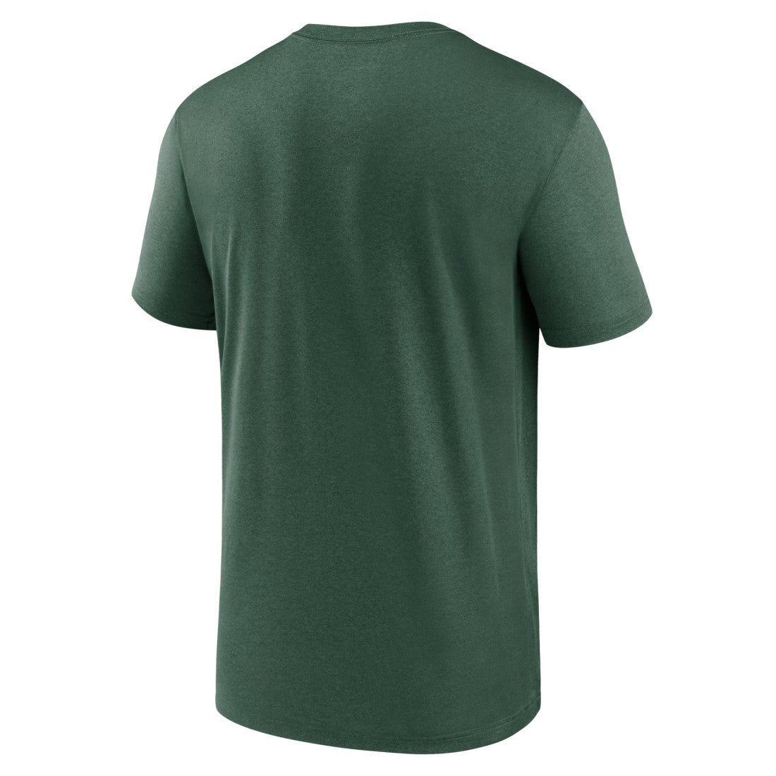 Green Bay Packers Primetime Legend Wordmark Performance T-Shirt Green | Nike for Sale