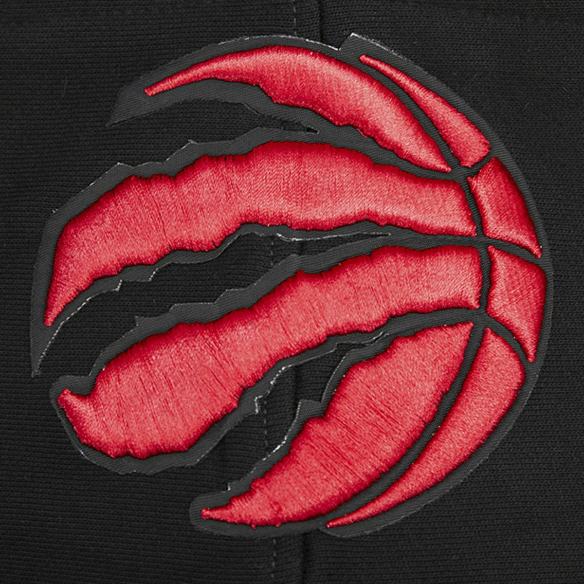 Toronto Raptors Pro Standard Script Tail Pullover Hoodie Black - NBA