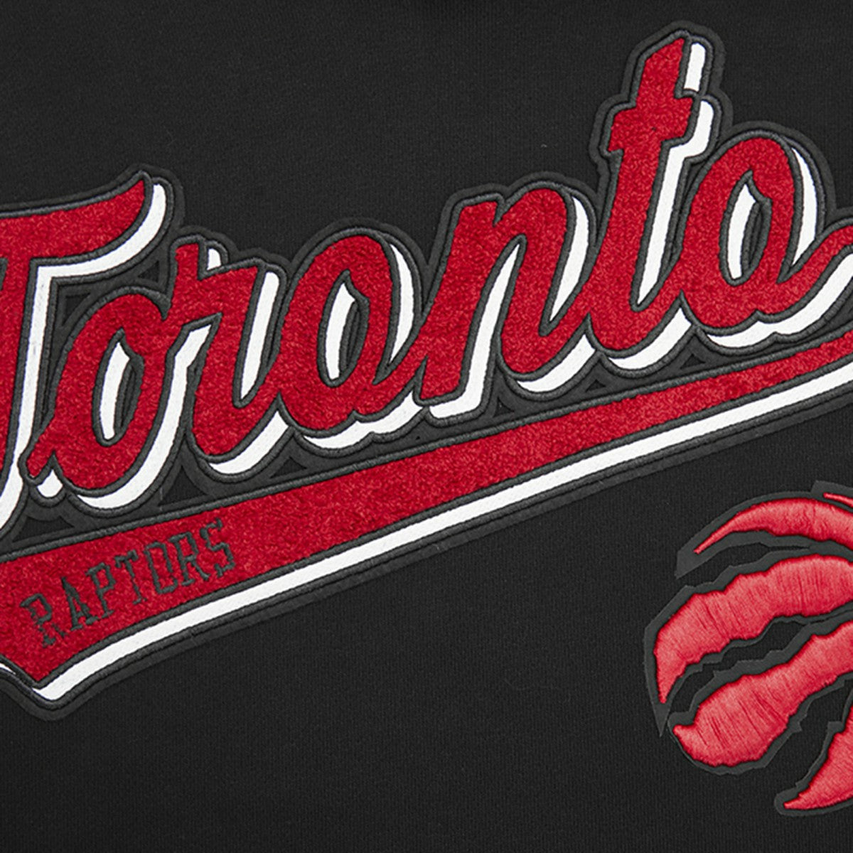 Toronto Raptors Pro Standard Script Tail Pullover Hoodie Black - NBA