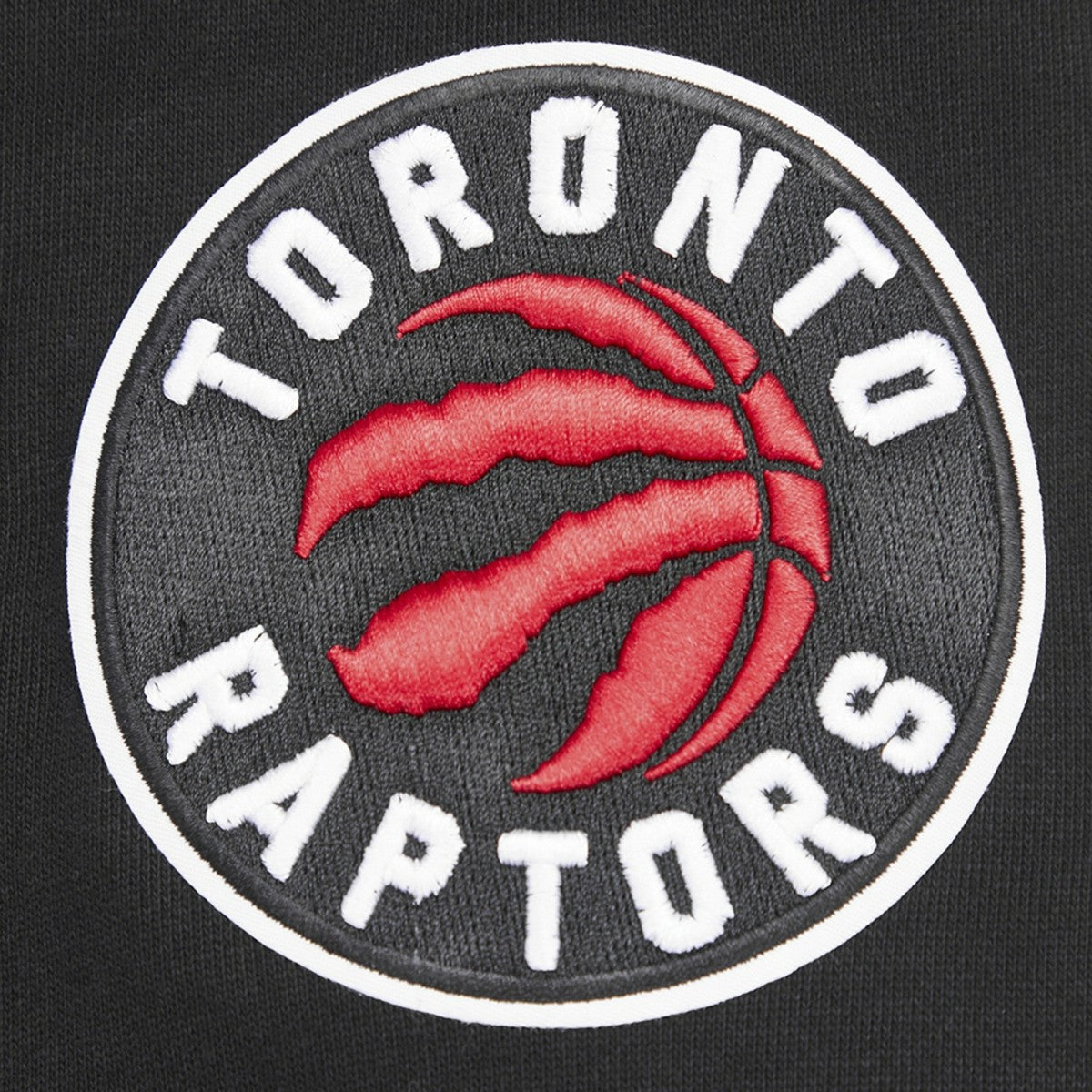 Toronto Raptors Pro Standard Script Tail Pullover Hoodie Black - NBA