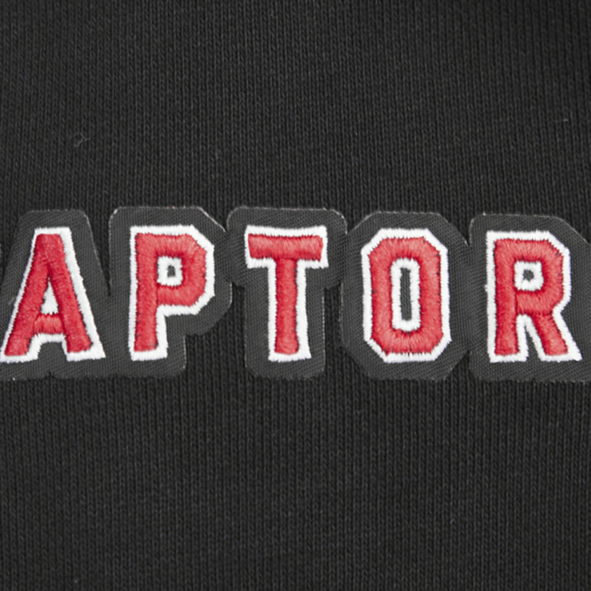 Toronto Raptors Pro Standard Script Tail Pullover Hoodie Black - NBA