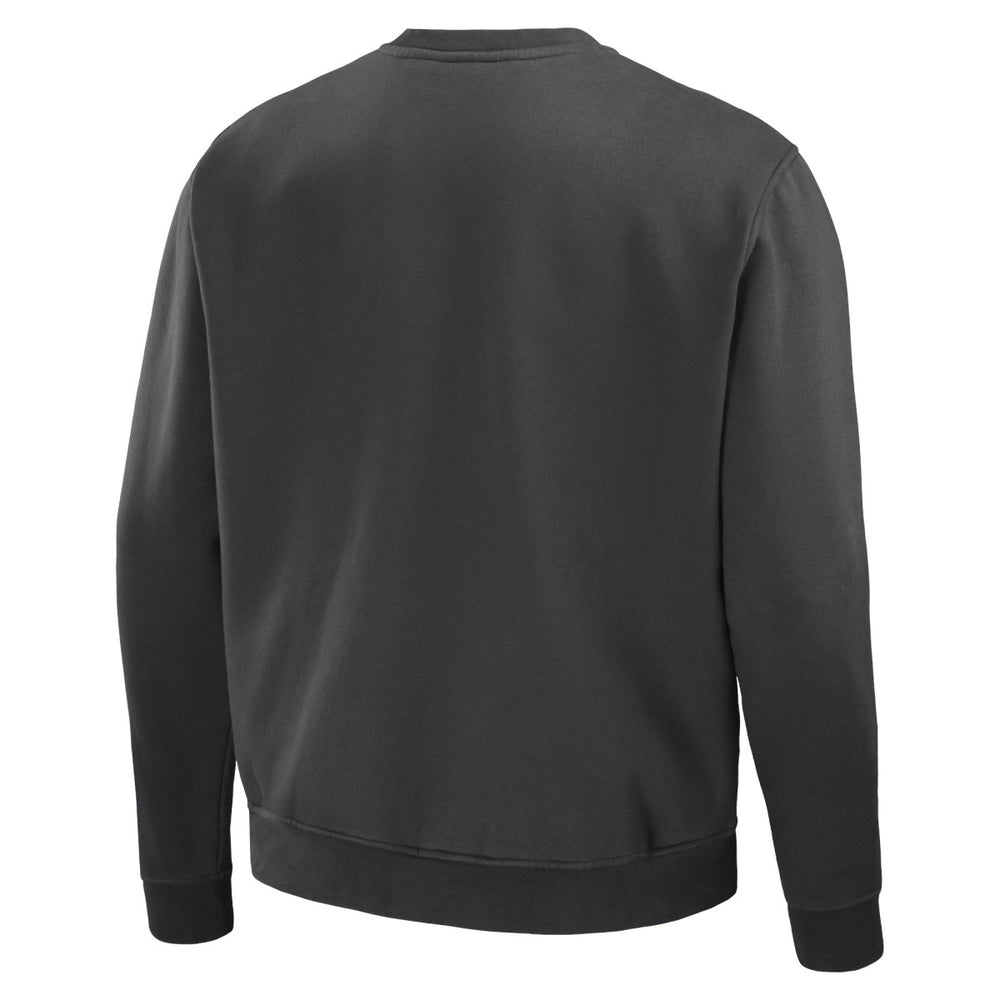Phoenix Suns NBA x Staple Plush Pullover Sweatshirt Anthracite - NBA
