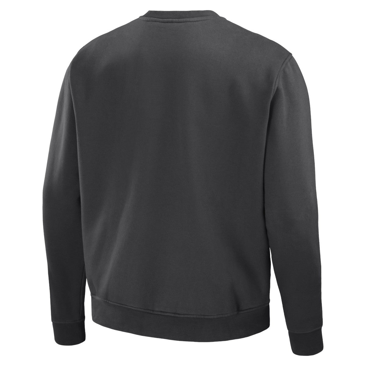Toronto Raptors NBA x Staple Plush Pullover Sweatshirt Anthracite - NBA