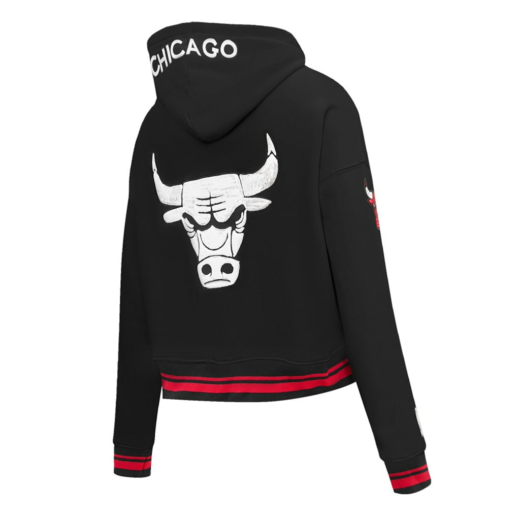 Chicago Bulls Pro Standard Women's 2023/24 City Edition Cropped Pullover Hoodie Black - NBA