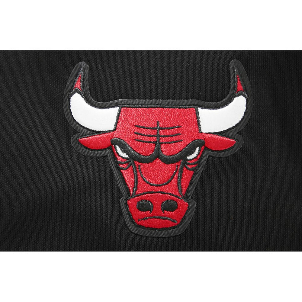 Chicago Bulls Pro Standard Women's 2023/24 City Edition Cropped Pullover Hoodie Black - NBA
