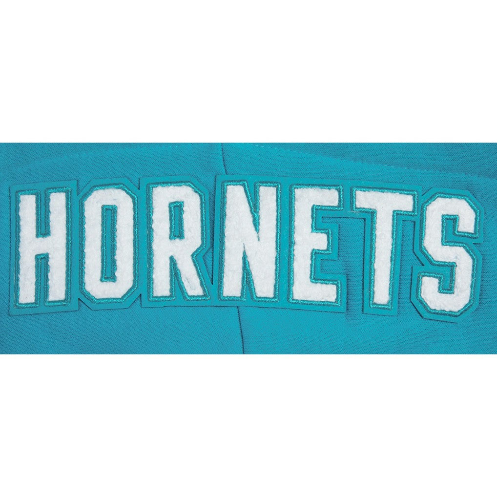 Charlotte Hornets Pro Standard Women's 2023/24 City Edition Cropped Pullover Hoodie Teal - NBA