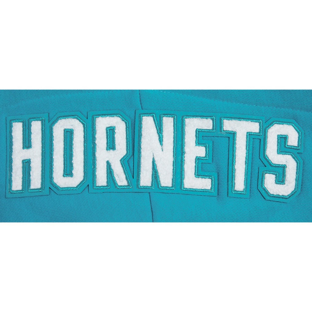 Charlotte Hornets Pro Standard Women's 2023/24 City Edition Cropped Pullover Hoodie Teal - NBA