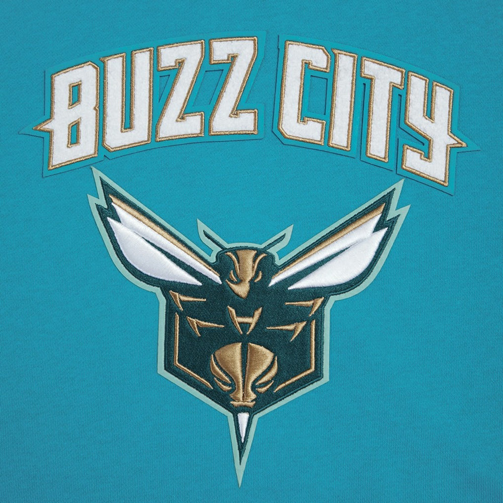 Charlotte Hornets Pro Standard Women's 2023/24 City Edition Cropped Pullover Hoodie Teal - NBA