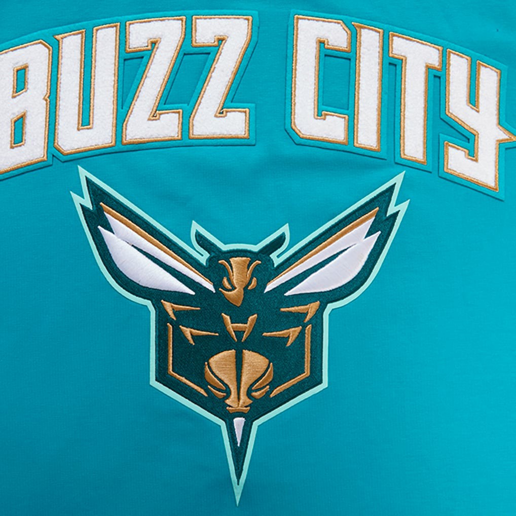 Charlotte Hornets Pro Standard 2023 City Edition T-Shirt Teal - NBA
