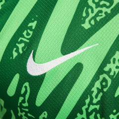Paris Saint-Germain 2024/25 Goalkeeper Replica Stadium Long Sleeve Jersey Green | Nike Sale