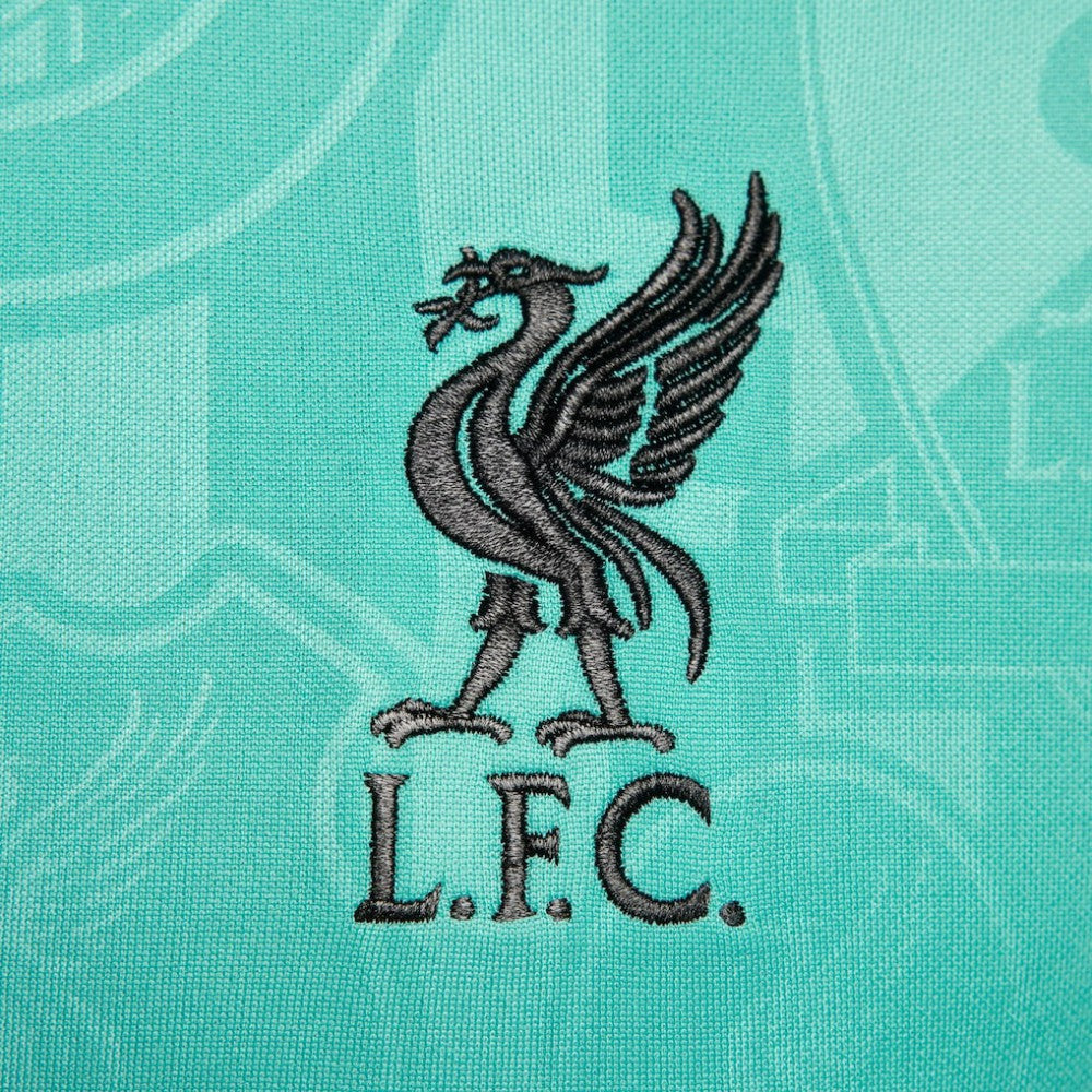 Liverpool 2024/25 Academy Pro Pre-Match Top Teal | Nike cheap