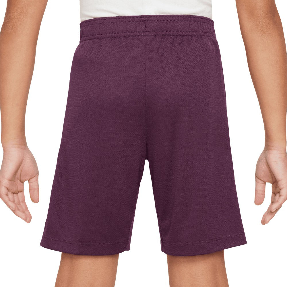 Paris Saint-Germain Youth 2024/25 Strike Performance Shorts Burgundy | Nike discount