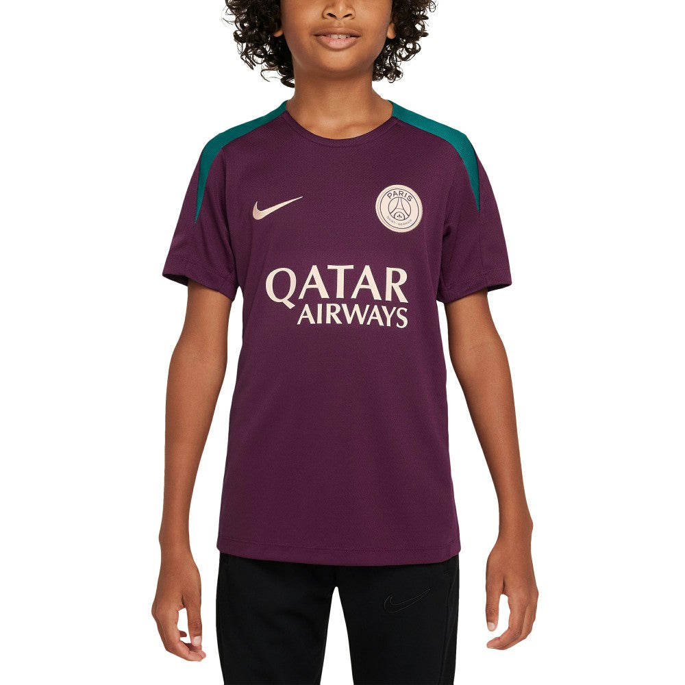 Paris Saint-Germain Youth 2024/25 Strike Training Performance Top Burgundy | Nike discount