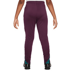 Paris Saint-Germain Youth 2024/25 Strike Training Pants Burgundy | Nike cheap