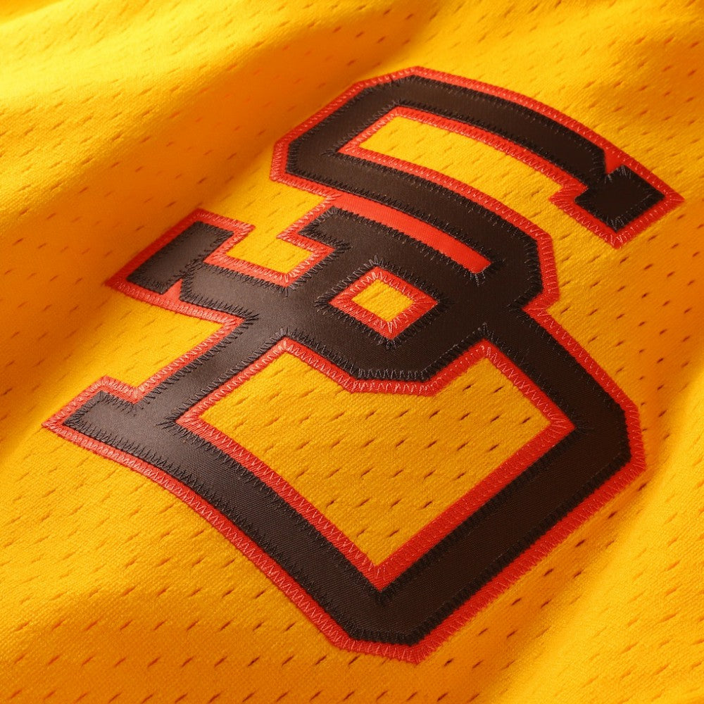 Tony Gwynn San Diego Padres Mitchell & Ness Authentic Batting Practice Jersey - MLB