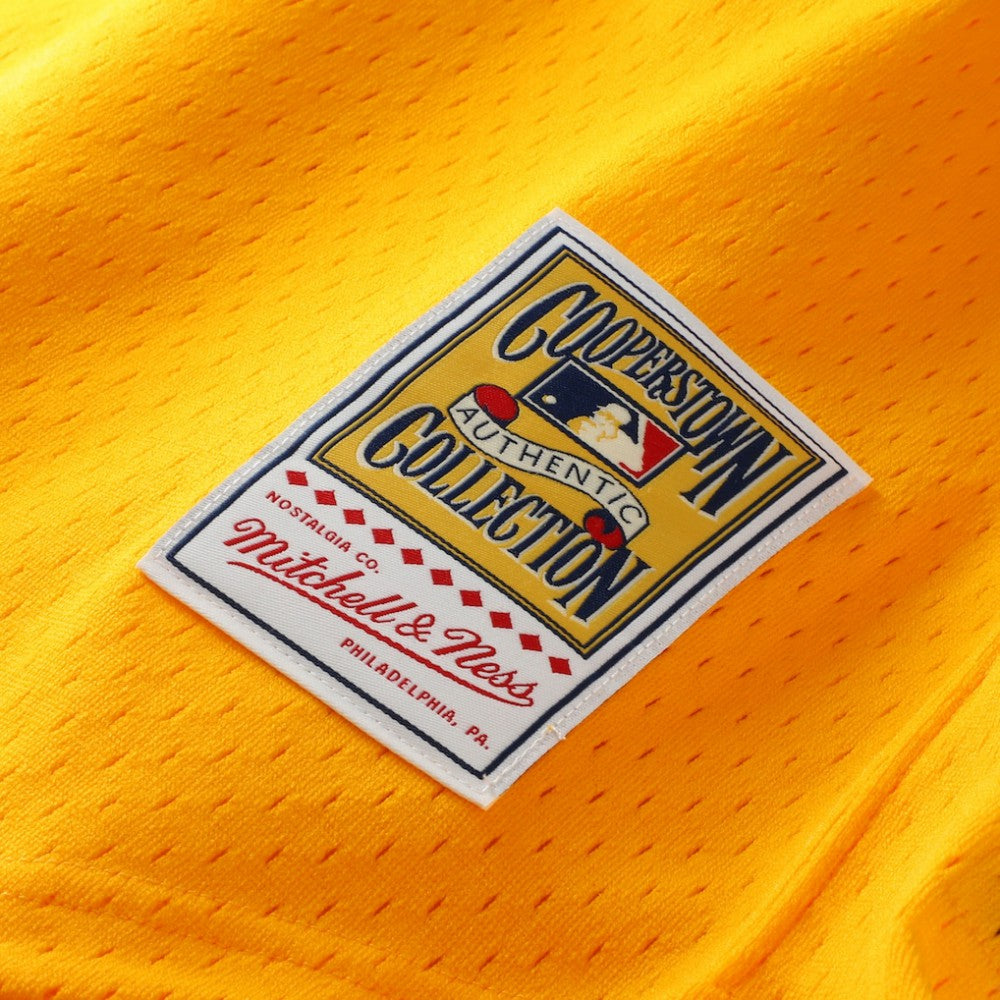 Tony Gwynn San Diego Padres Mitchell & Ness Authentic Batting Practice Jersey - MLB