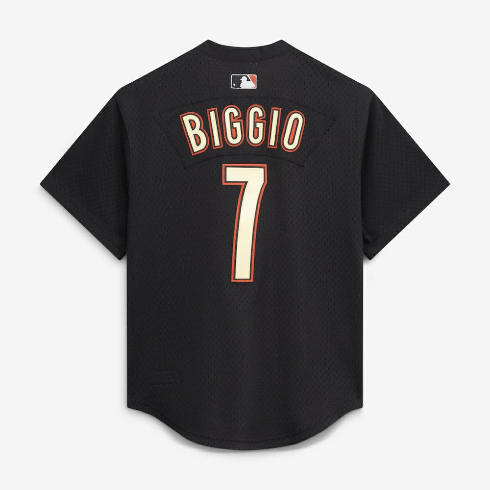 Craig Biggio Houston Astros Mitchell & Ness Authentic Batting Practice Jersey - MLB