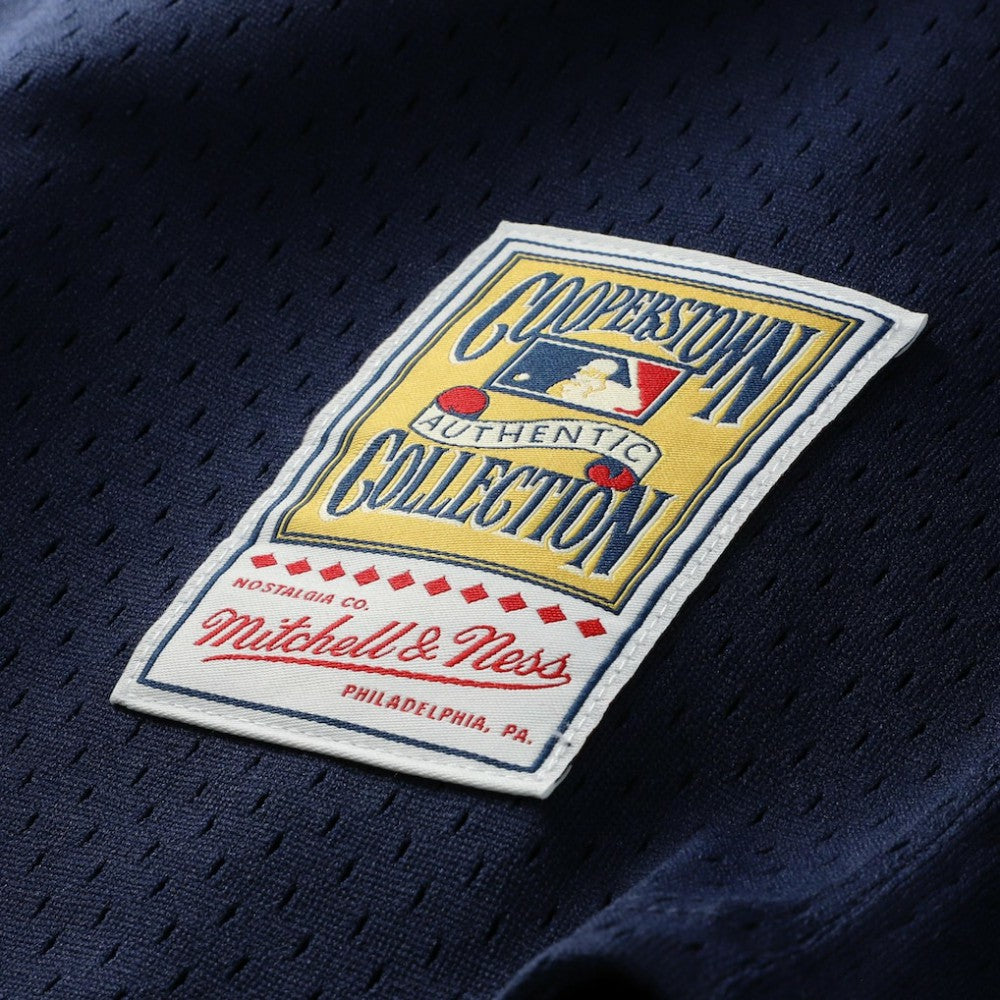 Carlton Fisk Chicago White Sox Mitchell & Ness Authentic Batting Practice Jersey - MLB