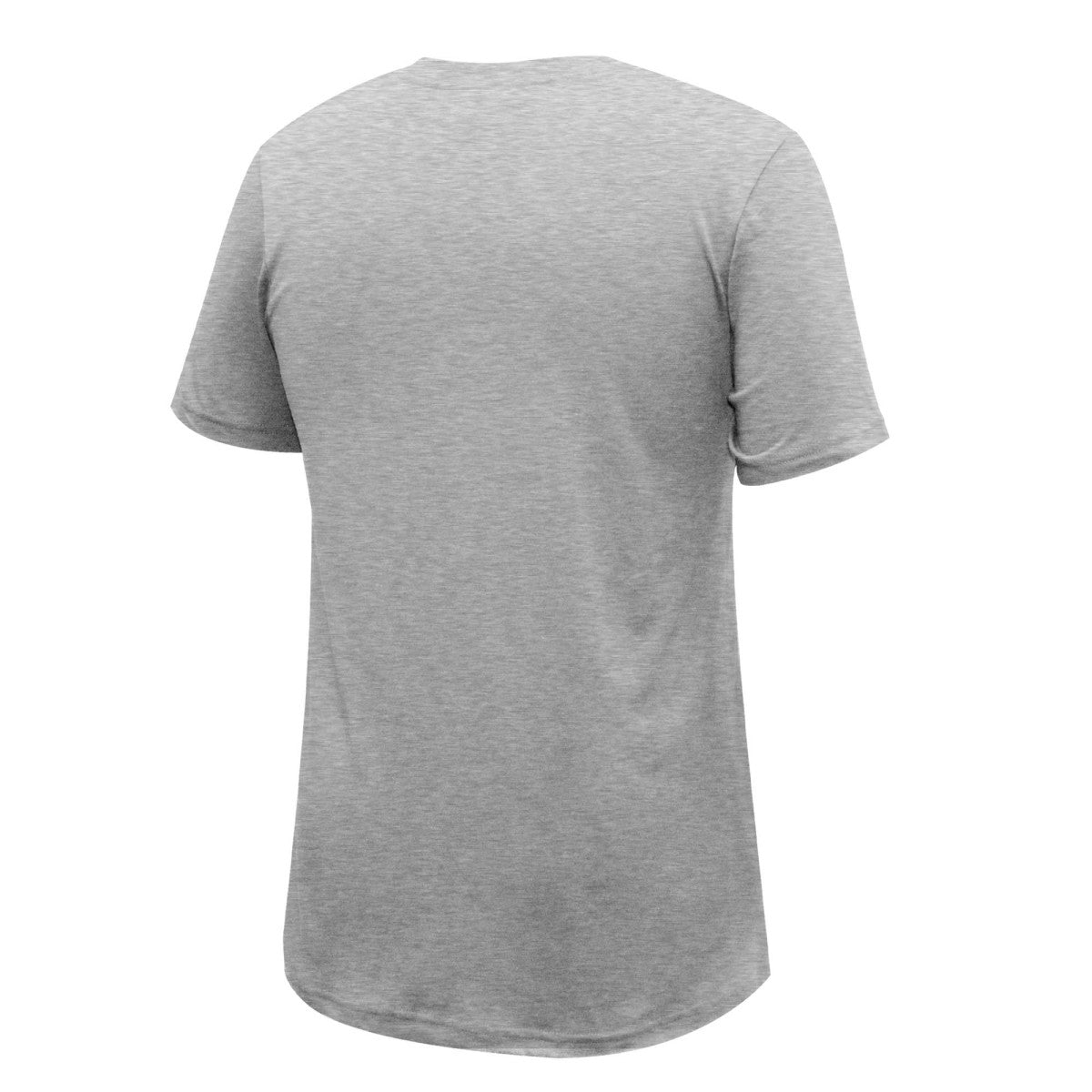 Minnesota Timberwolves Stadium Essentials Unisex Primary Logo T-Shirt Gray - NBA