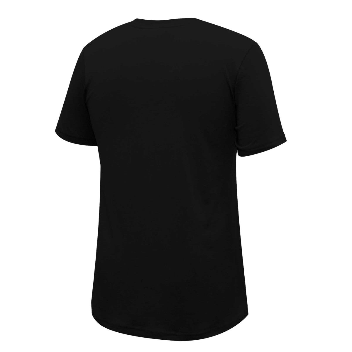 Toronto Raptors Stadium Essentials Unisex Primary Logo T-Shirt Black - NBA
