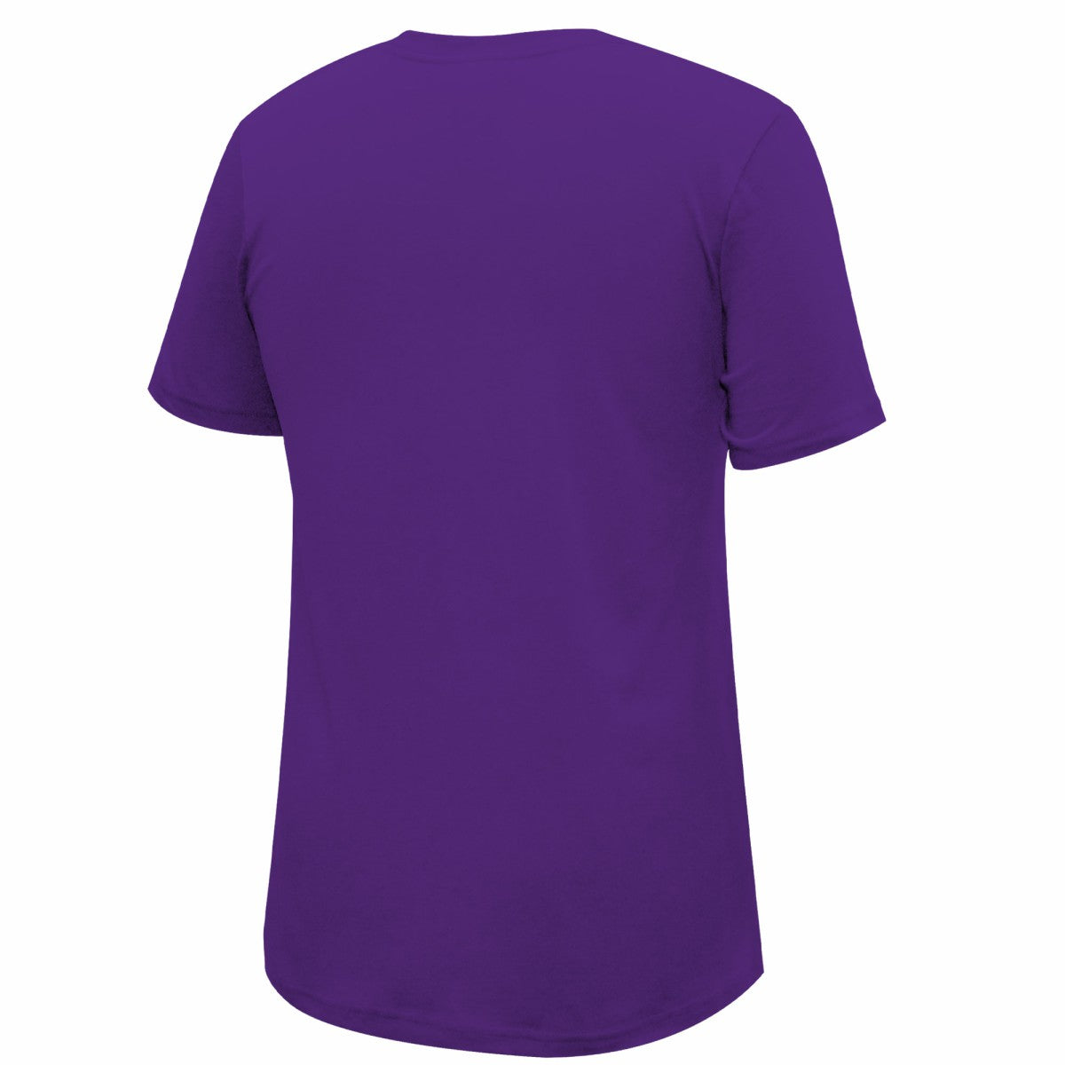 Los Angeles Lakers Stadium Essentials Unisex Primary Logo T-Shirt Purple - NBA