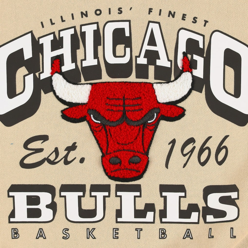 Chicago Bulls Qore Women's Oversized Cozy Mock Neck Pullover Sweatshirt Cream - NBA