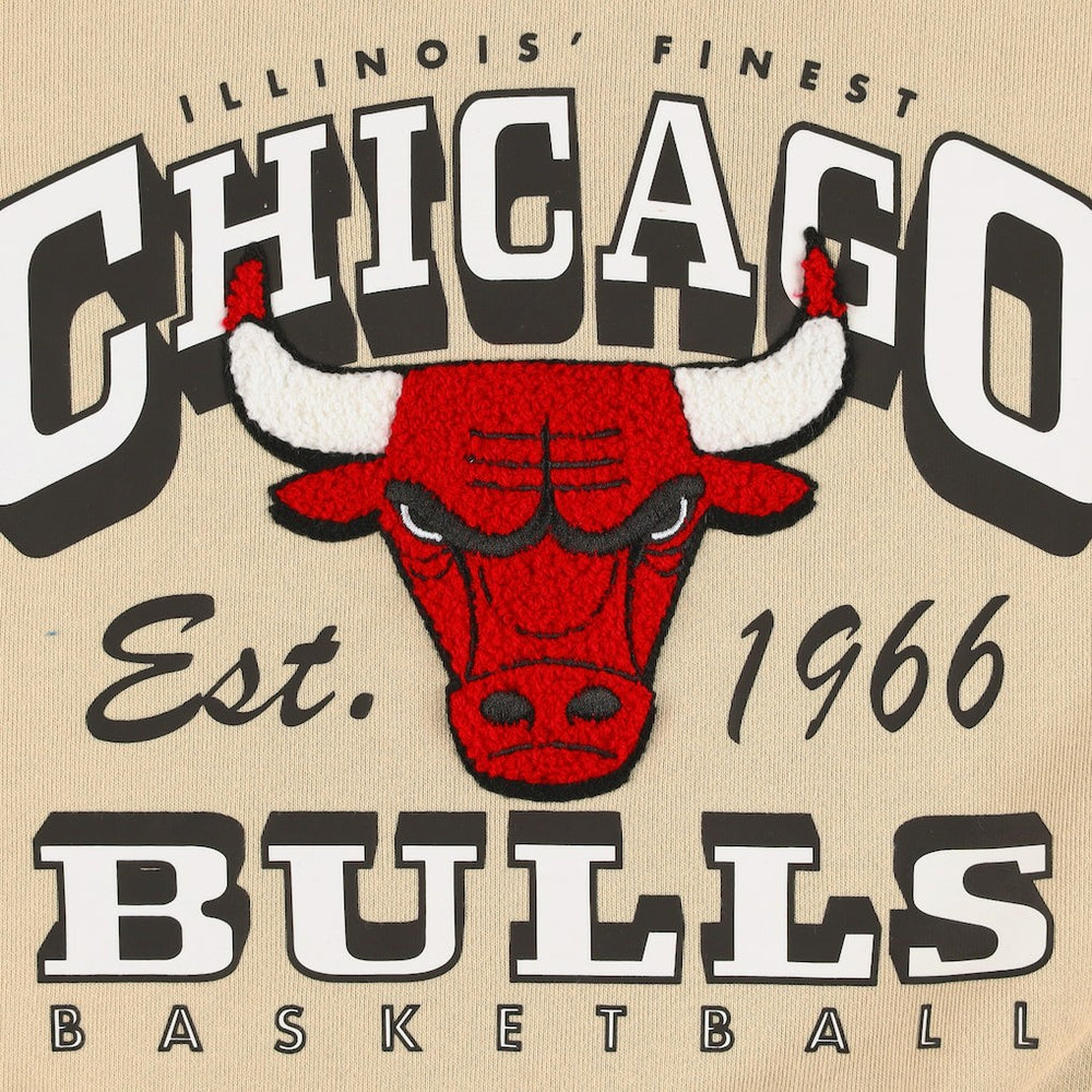Chicago Bulls Qore Women's Oversized Cozy Mock Neck Pullover Sweatshirt Cream - NBA
