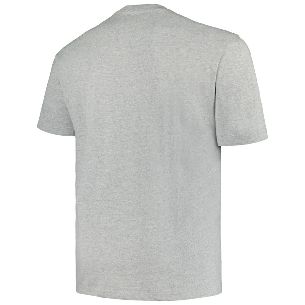 Minnesota Wild Profile Big & Tall Arch Over Logo T-Shirt - Heather Gray - NHL