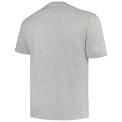 Minnesota Wild Profile Big & Tall Arch Over Logo T-Shirt - Heather Gray - NHL