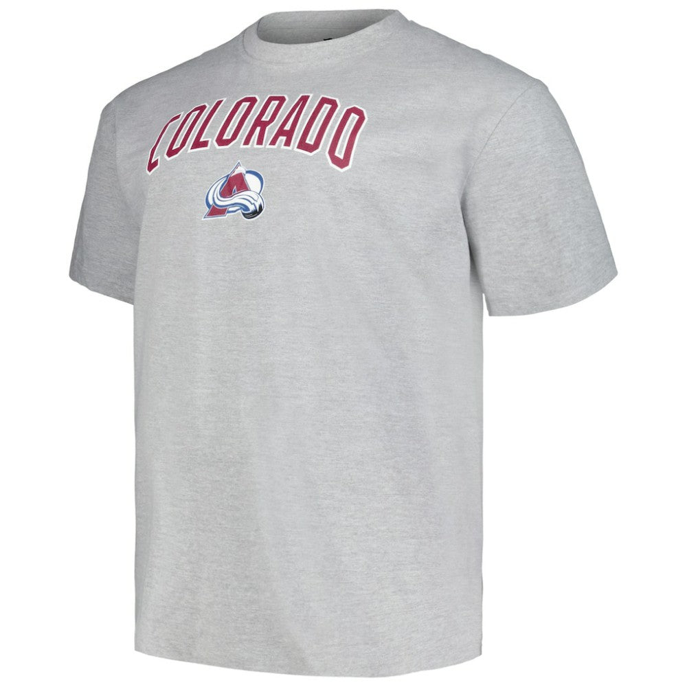 Colorado Avalanche Profile Big & Tall Arch Over Logo T-Shirt - Heather Gray - NHL