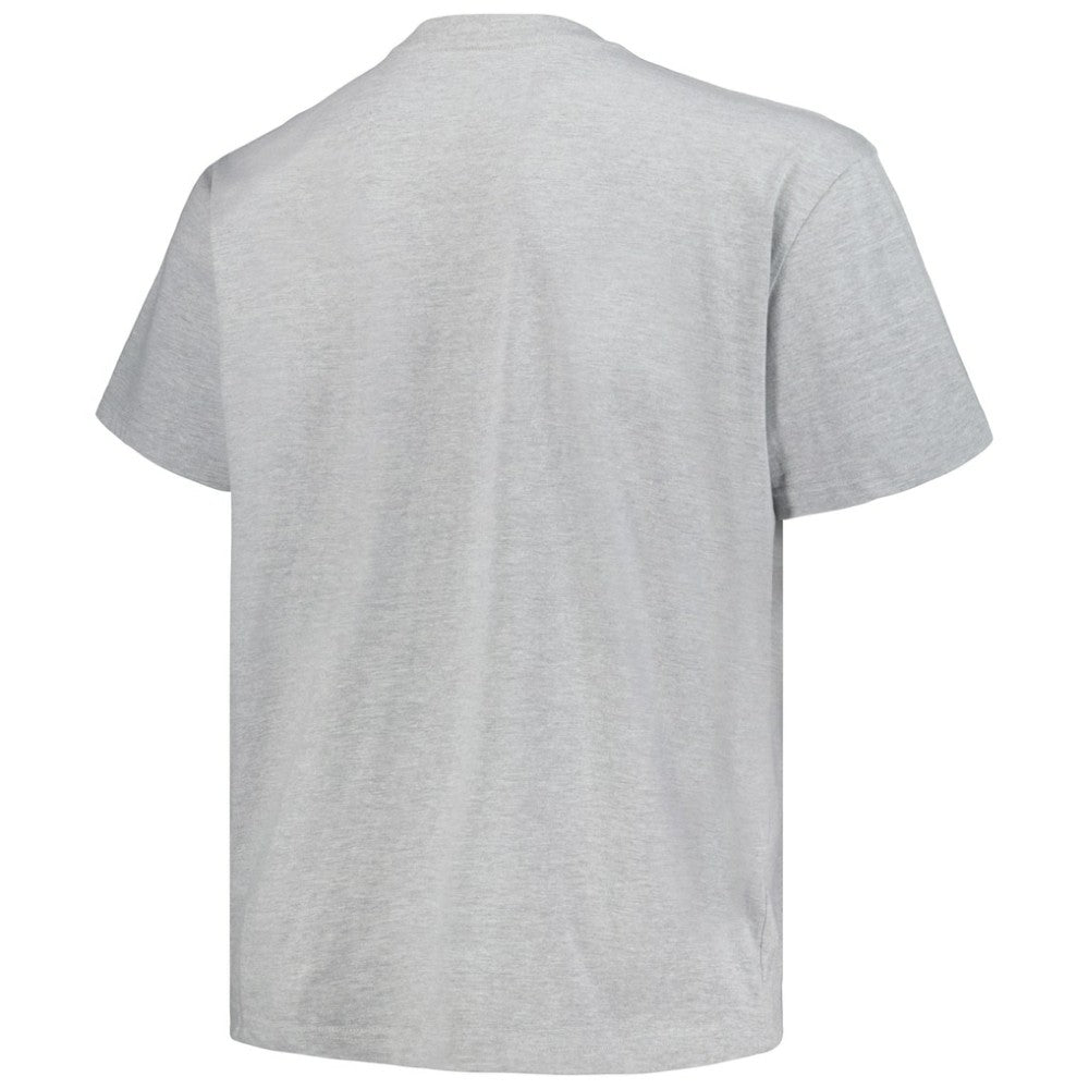 Colorado Avalanche Profile Big & Tall Arch Over Logo T-Shirt - Heather Gray - NHL