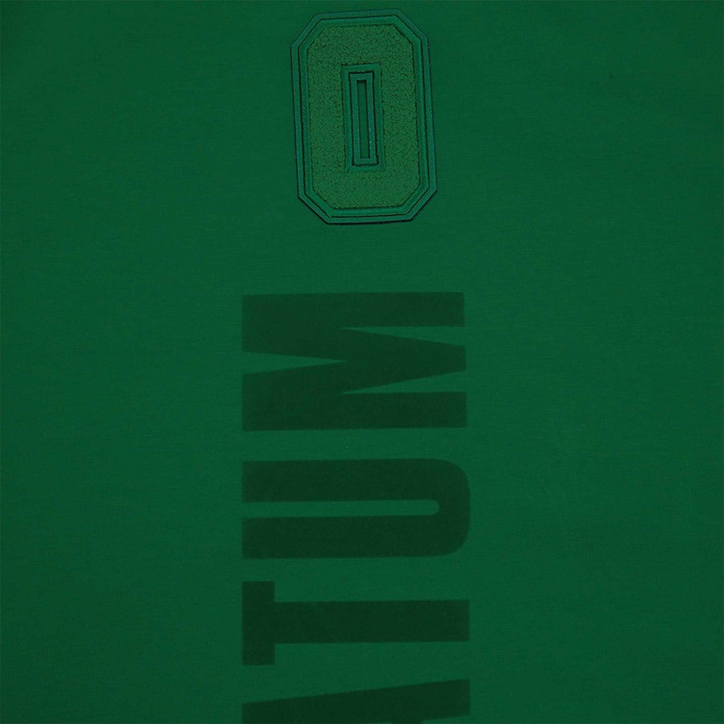 Jayson Tatum Boston Celtics Pro Standard Triple Tonal Player T-Shirt Kelly Green - NBA