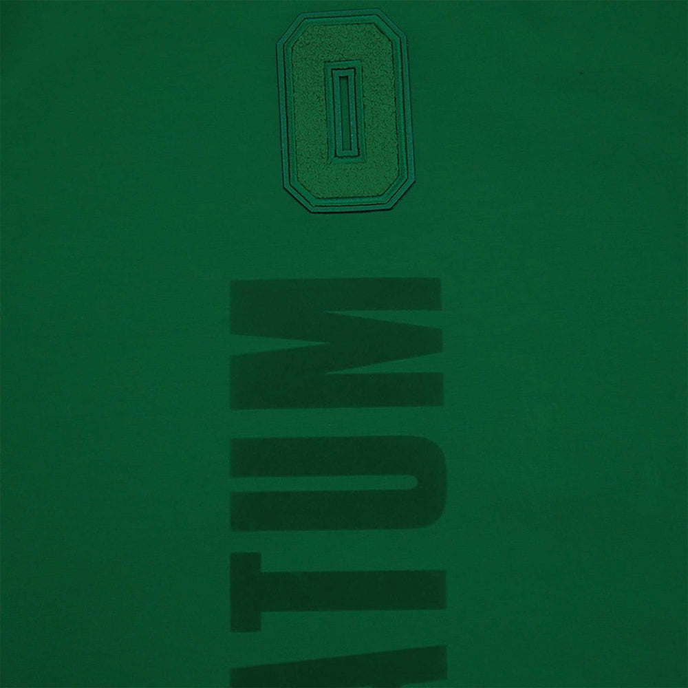 Jayson Tatum Boston Celtics Pro Standard Triple Tonal Player T-Shirt Kelly Green - NBA