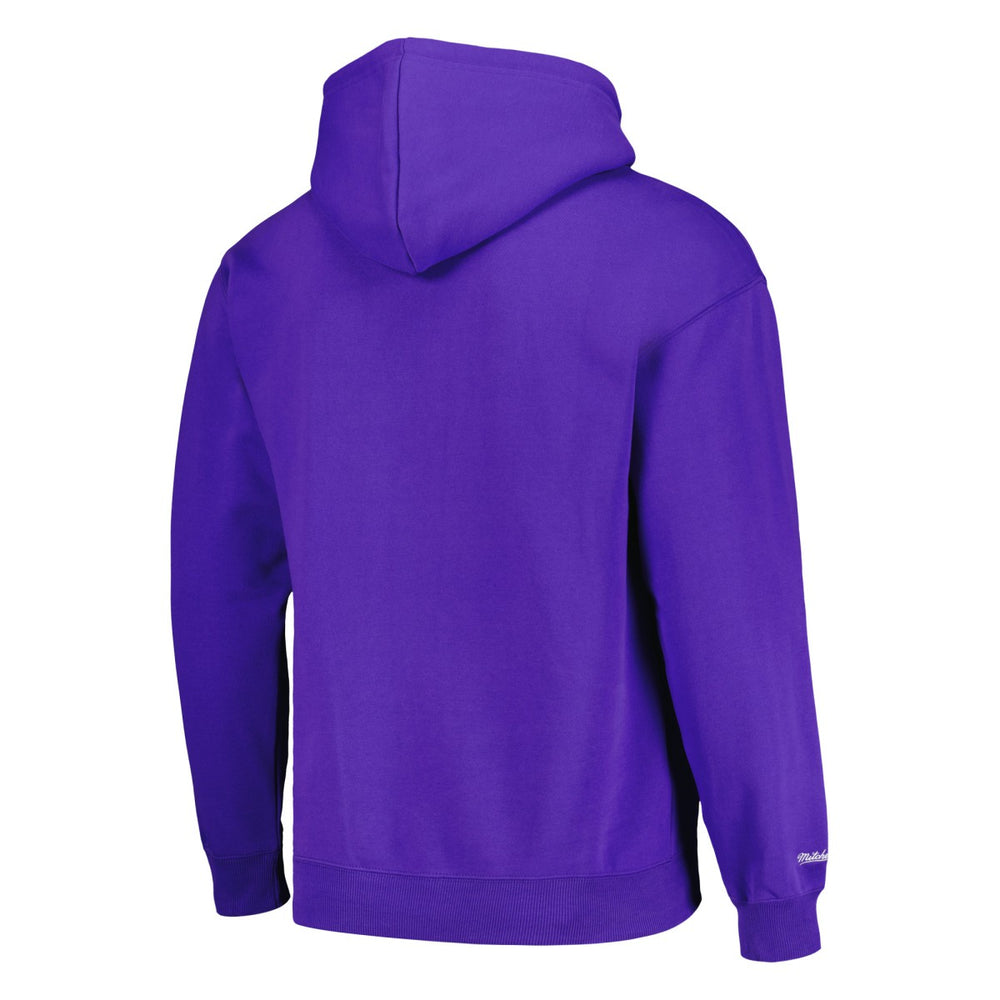 Phoenix Suns Hardwood Classics Tonal Pullover Hoodie Purple - NBA