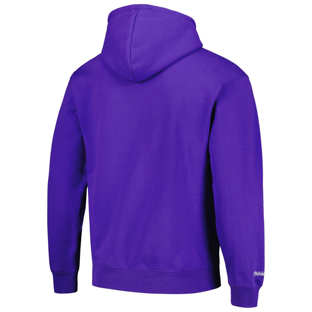 Sacramento Kings Hardwood Classics Tonal Pullover Hoodie Purple - NBA