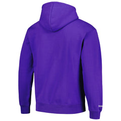 Sacramento Kings Hardwood Classics Tonal Pullover Hoodie Purple - NBA