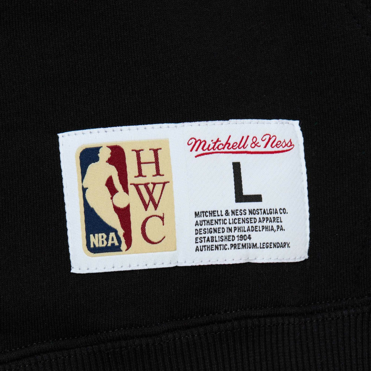 Toronto Raptors Hardwood Classics Tonal Pullover Hoodie Black - NBA