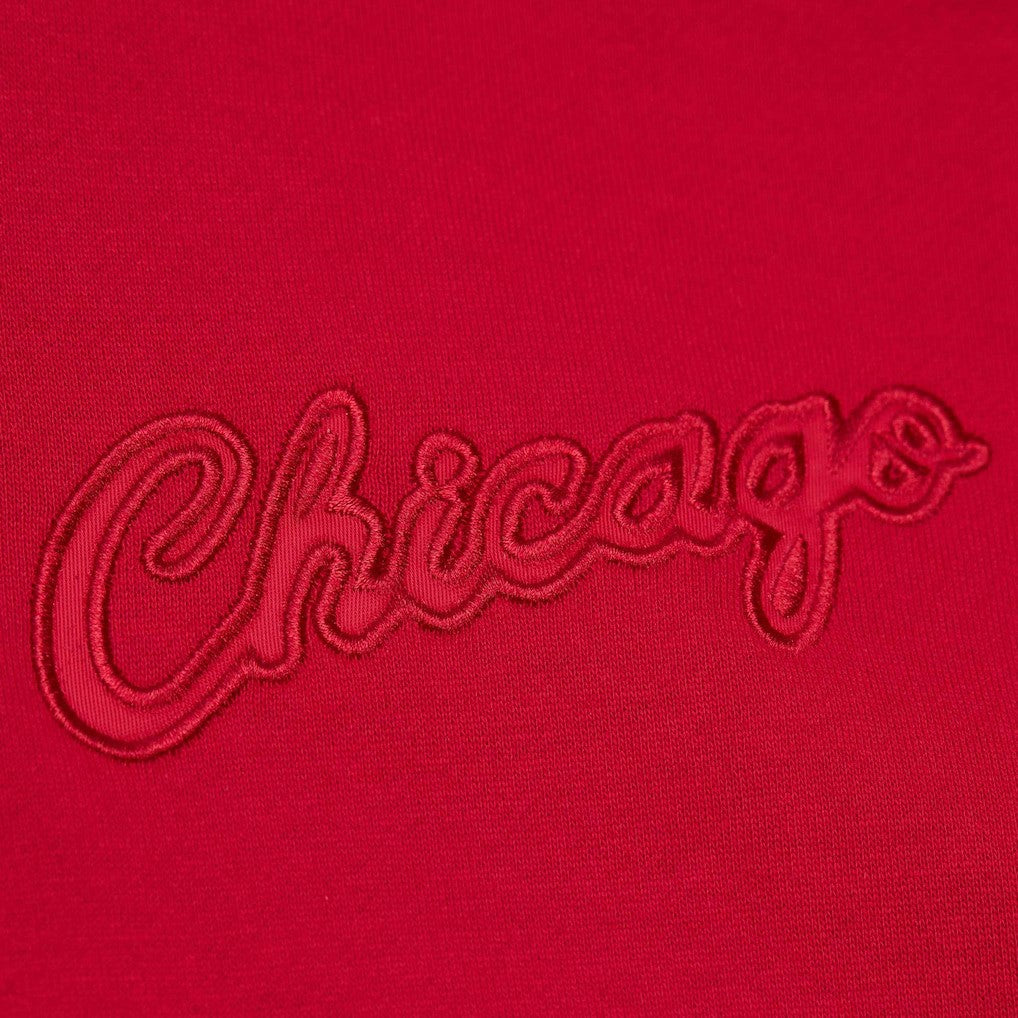 Chicago Bulls Hardwood Classics Tonal Pullover Hoodie Red - NBA