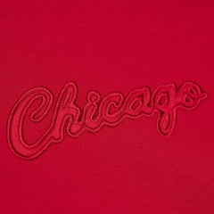 Chicago Bulls Hardwood Classics Tonal Pullover Hoodie Red - NBA