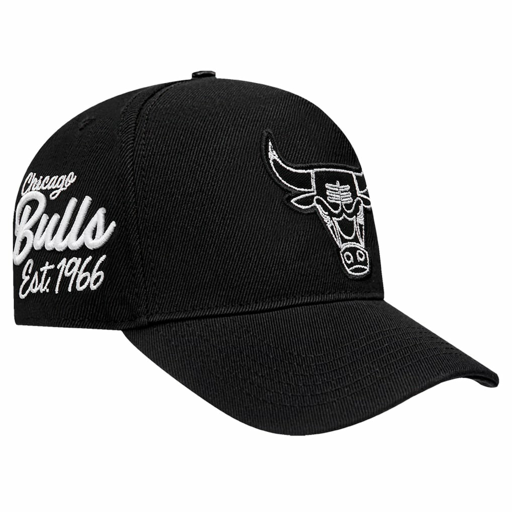 Chicago Bulls Pro Standard Paint the City Pinch Front Snapback Hat Black - NBA