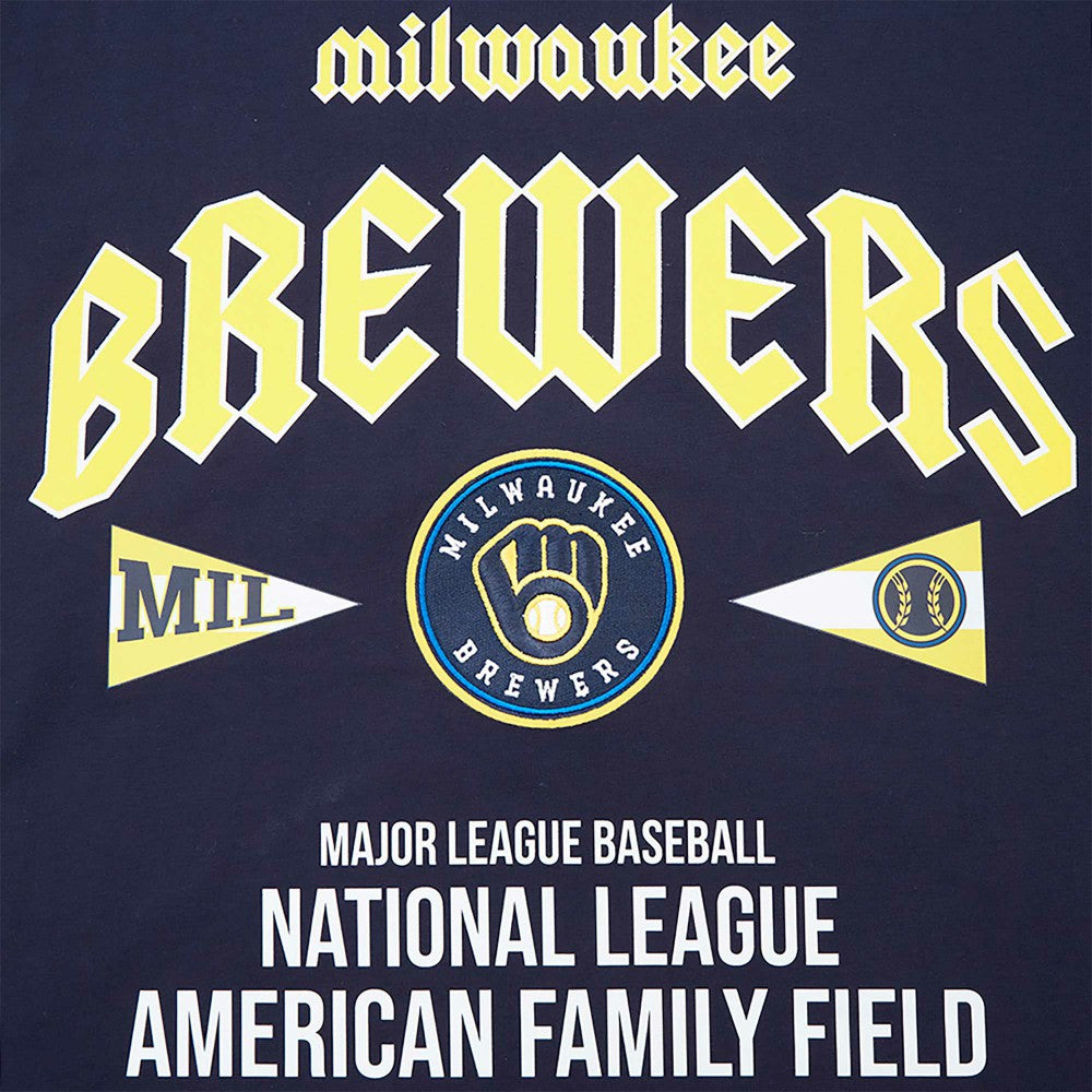Milwaukee Brewers Pro Standard Oversized City Tour T-Shirt - MLB