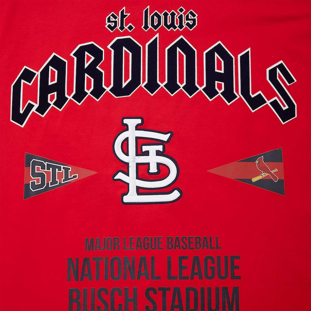 St. Louis Cardinals Pro Standard Oversized City Tour T-Shirt - MLB